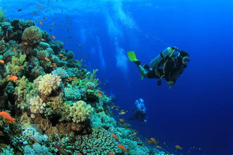 Bonaire Ranked Best Overall Diving Destination - Sunwise Bonaire