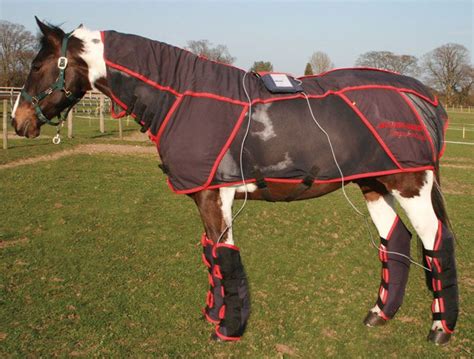 Equine therapy systems | Equine therapy, Horse therapy, Horse blankets