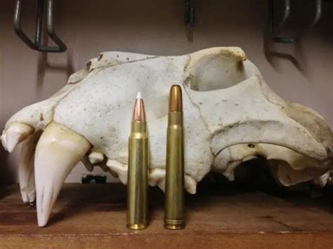 .375 Ruger: An Up And Coming Dangerous Game Cartridge?