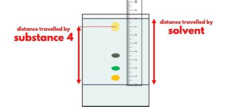 Paper chromatography | O Level Chemistry Notes - Chem Not Cheem