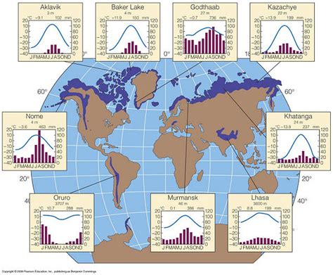 biome map tundra : Biological Science Picture Directory – Pulpbits.net