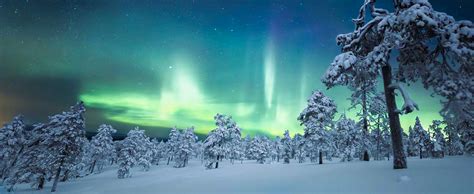 Yukon Ultimate Northern Lights Tour, Yukon | 10Adventures