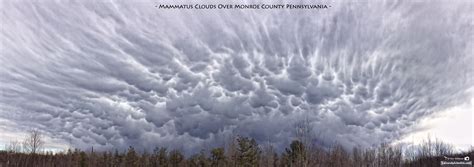 Free photo: Mammatus Clouds - Cloud, Cloudy, Mammatus - Free Download ...