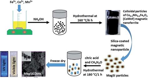 Illustration of the design and synthesis magneto-fluorescent of... | Download Scientific Diagram