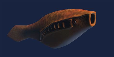 3D model Arandaspis orange fish VR / AR / low-poly | CGTrader