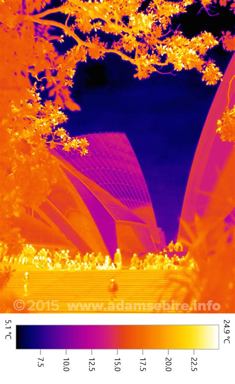 Thermographic thermal imaging art — Adam Sébire