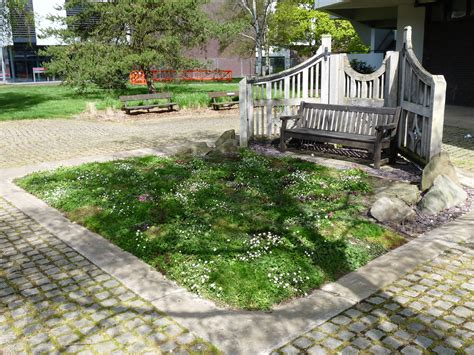 Tapestry lawn outside the Palmer Building at Reading University | Lawn ...