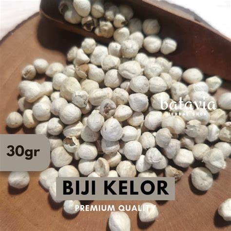 Jual Biji Kelor Kupas Moringa Seeds Kernel Kelor Premium Herbs Time - Jakarta Pusat - Batavia ...