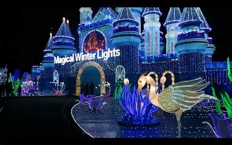 Magical winter lights - qustjoint