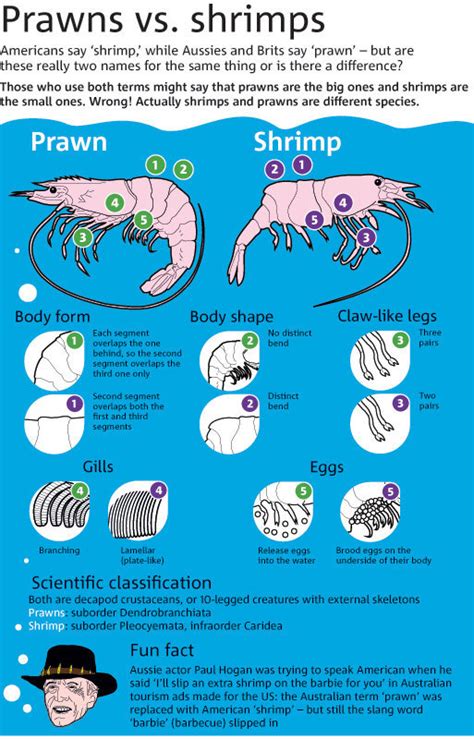 What’s the Difference Between Shrimp and Prawns? | Food & Wine