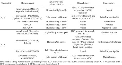 Figure 1 from Anti-PD-1/PD-L1 Therapy for Non-Small-Cell Lung Cancer: Toward Personalized ...