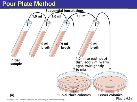 PPT - Microbial Nutrition and Growth PowerPoint Presentation, free ...