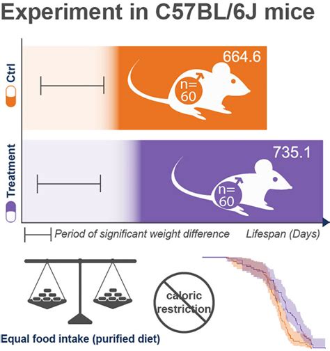 The effect of a pharmaceutical ghrelin agonist on lifespan in C57BL/6J male mice: A controlled ...