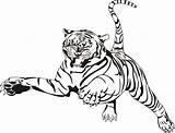 Tigers Coloring Pages Kids  sketch template