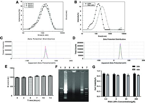 Characterization of lipid nanoparticles and RNA lipid nanoparticles ...