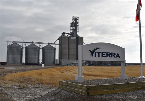 China widens ban on Canadian canola imports to second firm, Viterra | The Western Producer