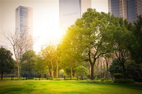 Urban forests and global warming - Jungle Trek