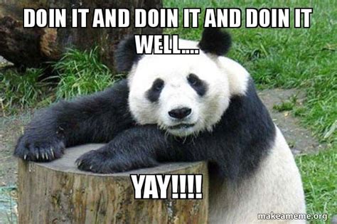 Doin it and Doin it and Doin it well.... Yay!!!! - Confession Panda Meme Generator