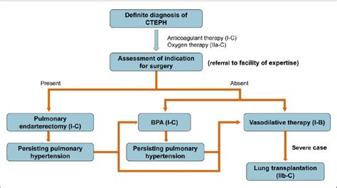 Algorithm for CTEPH treatment (Recommendation class/evidence level). | Download Scientific Diagram