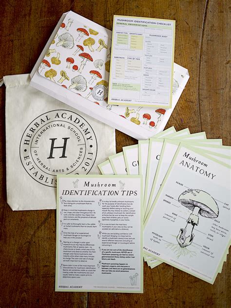 Mushroom Foraging Kit – Herbal Academy