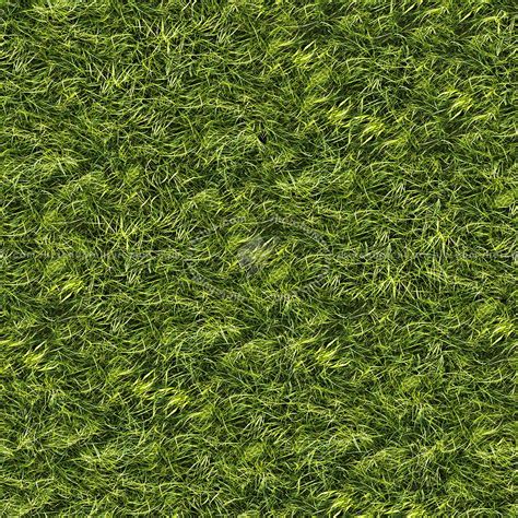 Green grass texture seamless 13047