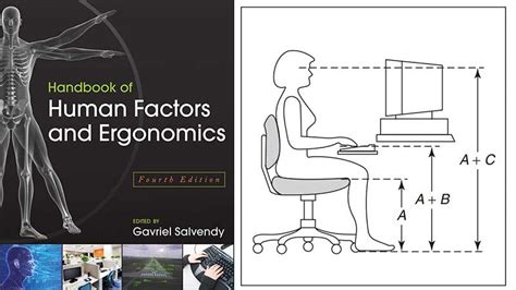 Ergonomic chair guidelines for healthy sitting | ChairsFX