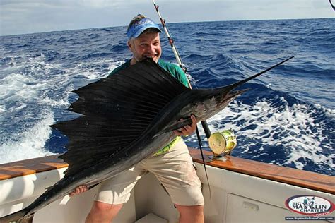 Punta Cana FISHING CHARTERs Deep Sea Big Marlin Sport Trip