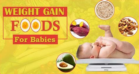 21 Weight Gain Foods for Babies, 6 Month to 2 Year Baby Weight Gain ...