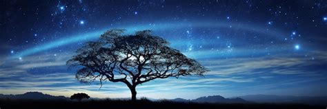 Premium Photo | Tree Silhouetted Against Starry Night Sky