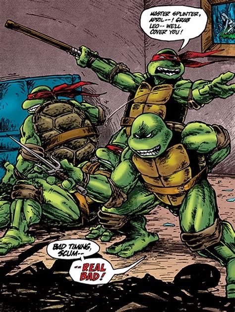 Teenage Mutant Ninja Turtles - Mirage Comics classic profile - Writeups.org