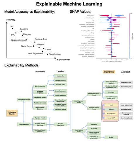 Udit S. on LinkedIn: Explaining black box machine learning models is ...