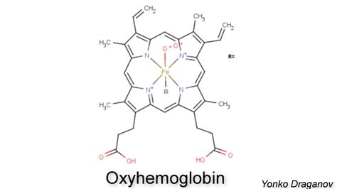 oxyhemoglobin - YouTube