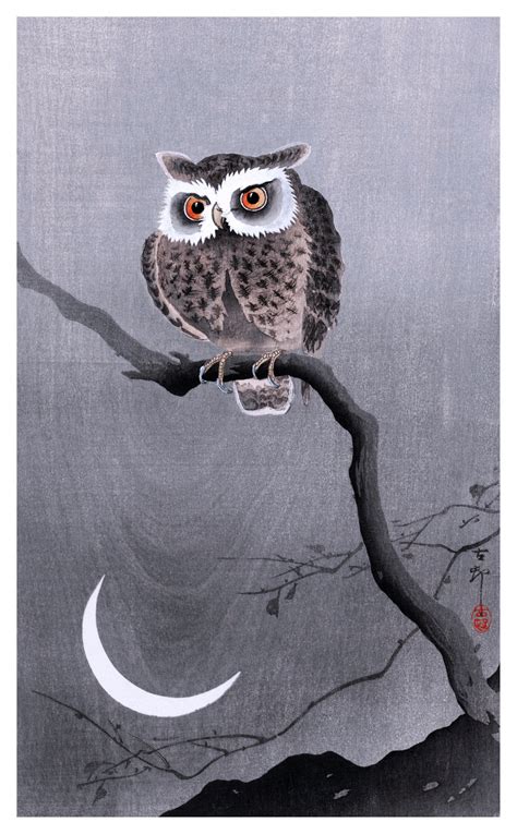 Owl Moon Art Vintage Free Stock Photo - Public Domain Pictures