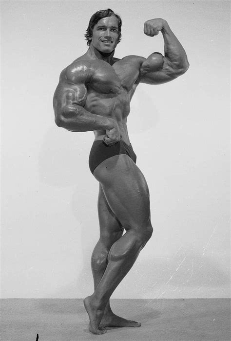 Top 183+ Arnold schwarzenegger bodybuilding wallpaper hd ...