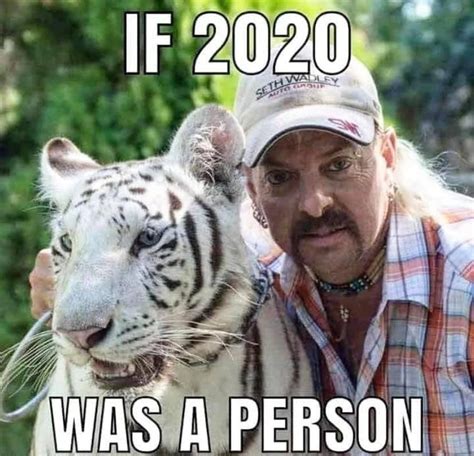 Funny Tiger King Memes About Joe Exotic and Carole Baskin