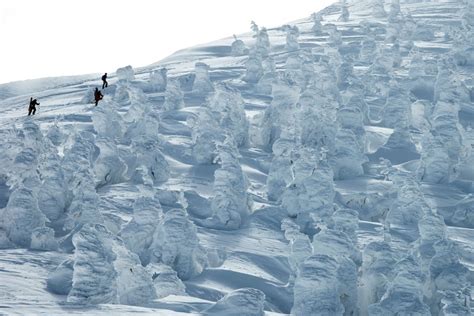 Juhyo: The Snow Monsters on Japan’s Mount Zao - The Atlantic