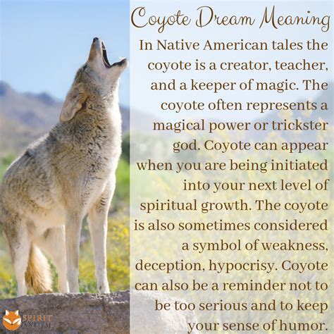 Coyote Spirit Animal | Totem Meaning | Spirit animal totem, Spirit ...