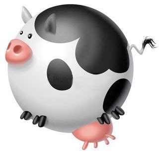 Spherical Cows in Data Science