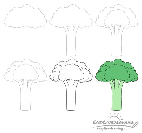 How to Draw Broccoli Step by Step - EasyLineDrawing