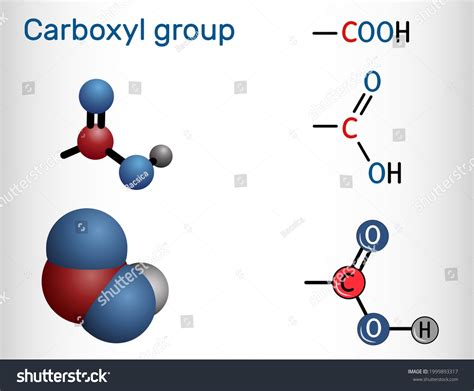 414 Carboxyl Group Images, Stock Photos & Vectors | Shutterstock