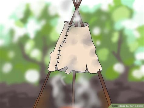 How to Tan a Hide: 14 Steps (with Pictures) - wikiHow