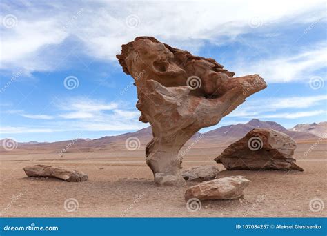 Stone Tree on Altiplano, Bolivia Stock Image - Image of andes, outdoors: 107084257