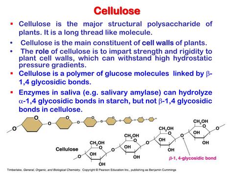 PPT - Poly saccharides PowerPoint Presentation, free download - ID:6899297