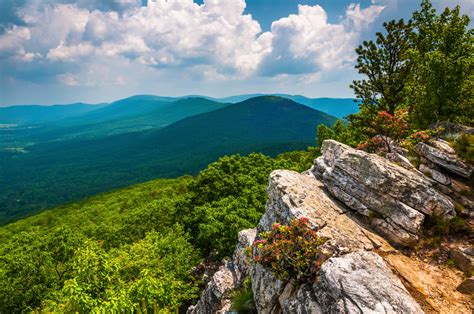 12 Best Trails For Hiking in Virginia - Southern Trippers