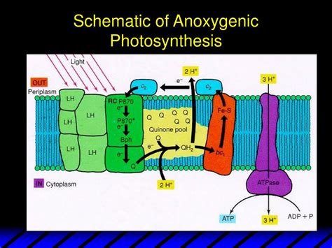 PPT - Week 3 Lecture October 2001 PowerPoint Presentation, free download - ID:586151