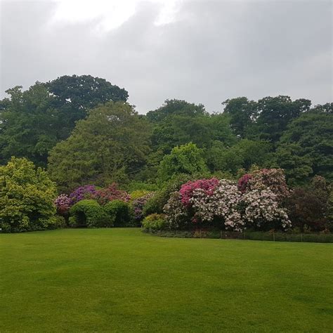 Kenwood House gardens Kenwood House, House Gardens, Hampstead, Weeding ...