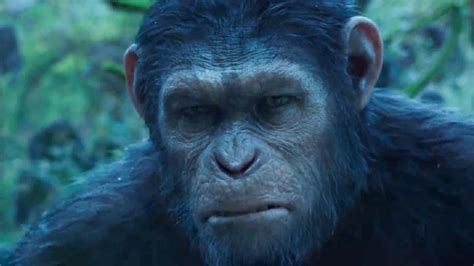 Image - Caesar HD.png | Planet of the Apes Wiki | FANDOM powered by Wikia