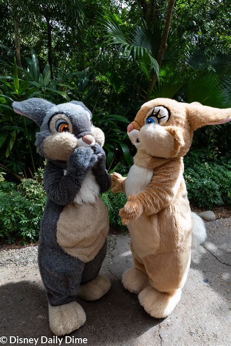 Complete Guide to Animal Kingdom Characters | Disney Daily Dime