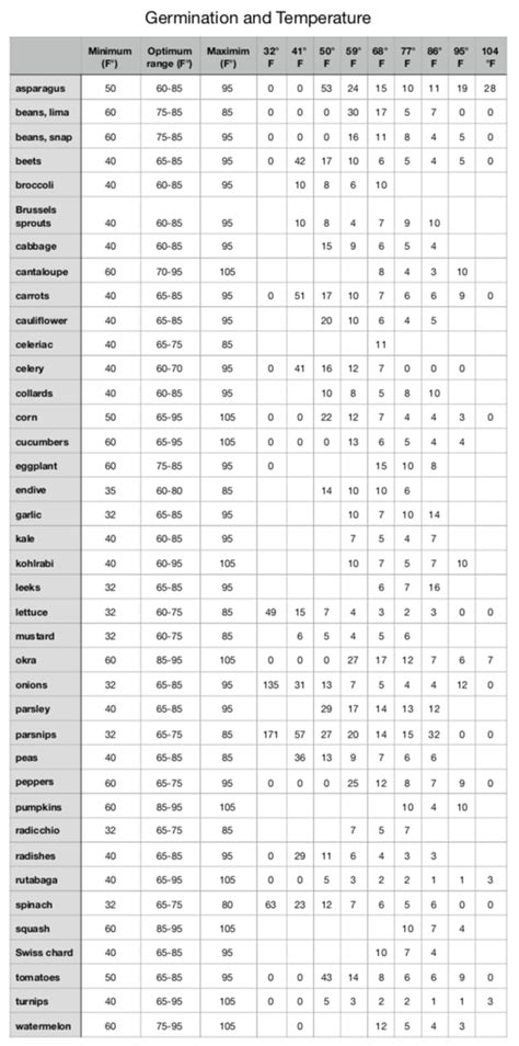 Germination - The Daily Garden