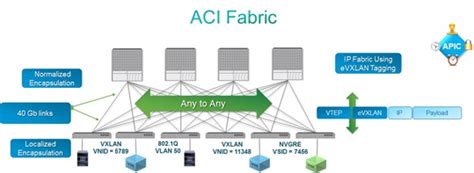 Cisco ACI Architecture – Simplified - Cisco Community